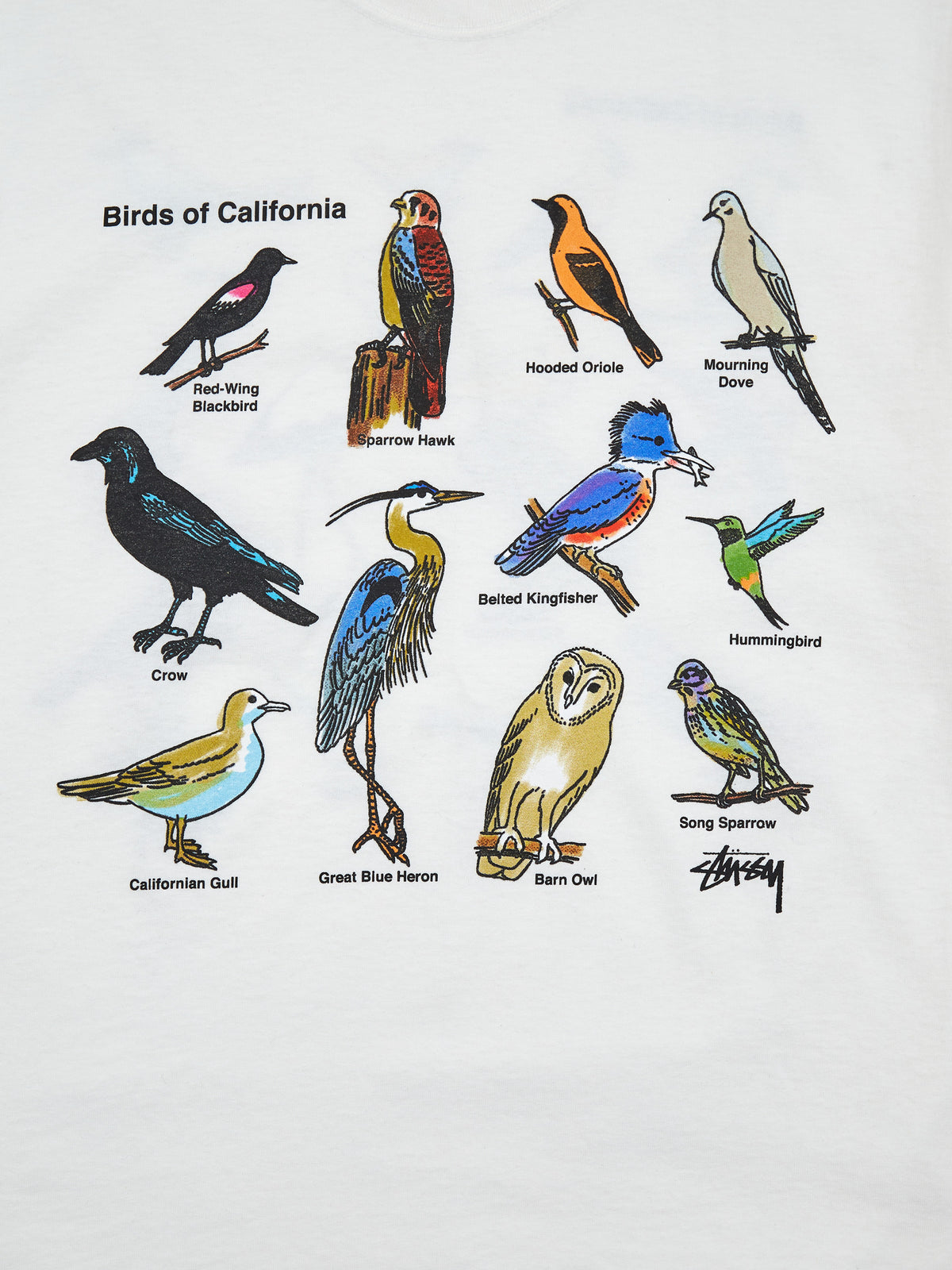 A Wide Variety of Quality at Low Costs at Stussy California Birds