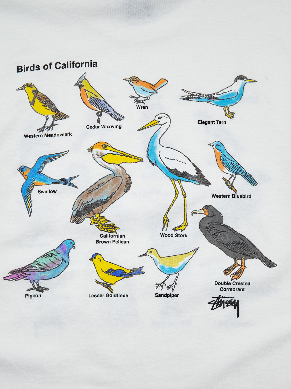 A Wide Variety of Quality at Low Costs at Stussy California Birds